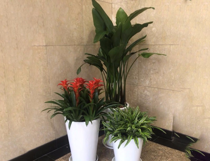 景观组合成功案例